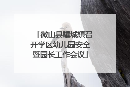 微山县驩城镇召开学区幼儿园安全暨园长工作会议