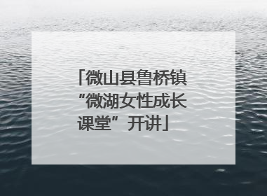 微山县鲁桥镇“微湖女性成长课堂”开讲