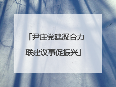 尹庄党建凝合力 联建议事促振兴
