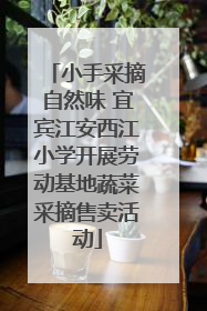 小手采摘自然味 宜宾江安西江小学开展劳动基地蔬菜采摘售卖活动