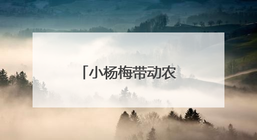 小杨梅带动农文旅大融合