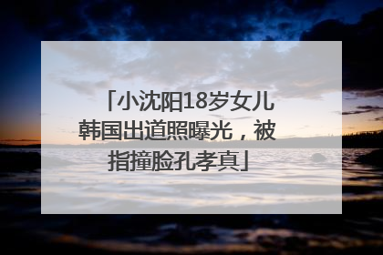 小沈阳18岁女儿韩国出道照曝光，被指撞脸孔孝真