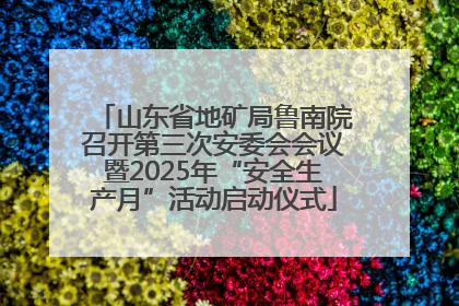 山东省地矿局鲁南院召开第三次安委会会议暨2025年“安全生产月”活动启动仪式