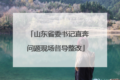 山东省委书记直奔问题现场督导整改