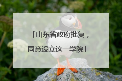 山东省政府批复，同意设立这一学院