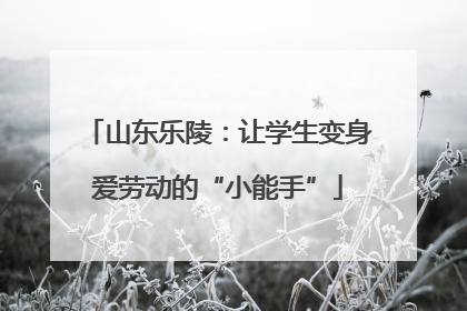 山东乐陵：让学生变身爱劳动的“小能手”