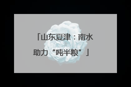 山东夏津：南水助力“吨半粮”