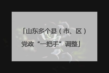 山东多个县（市、区）党政“一把手”调整