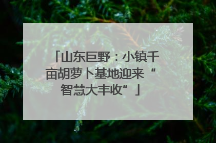 山东巨野：小镇千亩胡萝卜基地迎来“智慧大丰收”