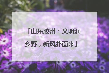山东胶州：文明润乡野，新风扑面来
