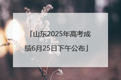 山东2025年高考成绩6月25日下午公布