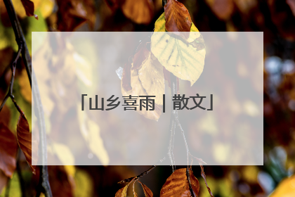 山乡喜雨｜散文