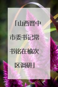 山西晋中市委书记常书铭在榆次区调研
