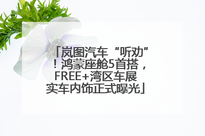 岚图汽车“听劝”！鸿蒙座舱5首搭，FREE+湾区车展实车内饰正式曝光