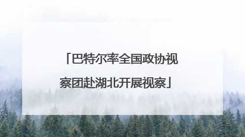 巴特尔率全国政协视察团赴湖北开展视察