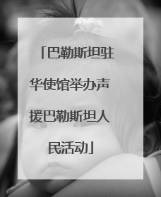 巴勒斯坦驻华使馆举办声援巴勒斯坦人民活动