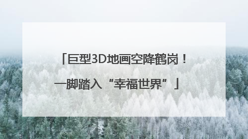 巨型3D地画空降鹤岗！一脚踏入“幸福世界”
