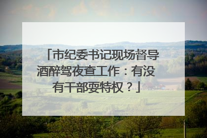 市纪委书记现场督导酒醉驾夜查工作：有没有干部耍特权？