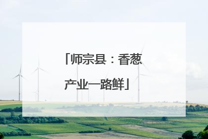 师宗县：香葱产业一路鲜