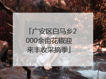 广安区白马乡2000余亩花椒迎来丰收采摘季