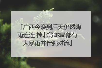 广西今晚到后天仍然降雨连连 桂北等地局部有大暴雨并伴强对流