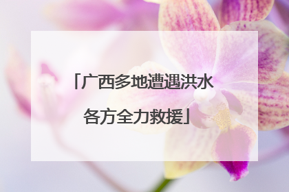 广西多地遭遇洪水 各方全力救援
