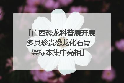 广西恐龙科普展开展 多具珍贵恐龙化石骨架标本集中亮相