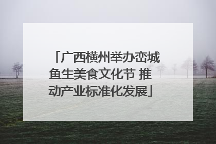 广西横州举办峦城鱼生美食文化节 推动产业标准化发展