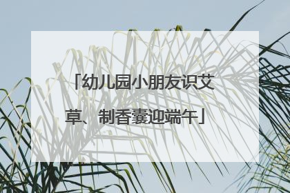 幼儿园小朋友识艾草、制香囊迎端午