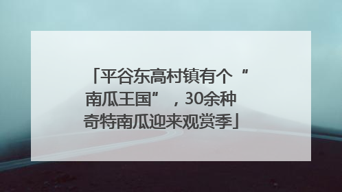 平谷东高村镇有个“南瓜王国”，30余种奇特南瓜迎来观赏季