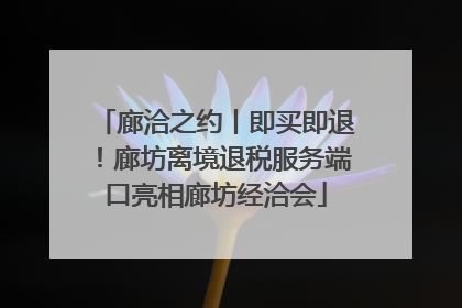 廊洽之约丨即买即退！廊坊离境退税服务端口亮相廊坊经洽会