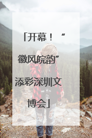 开幕！“徽风皖韵”添彩深圳文博会