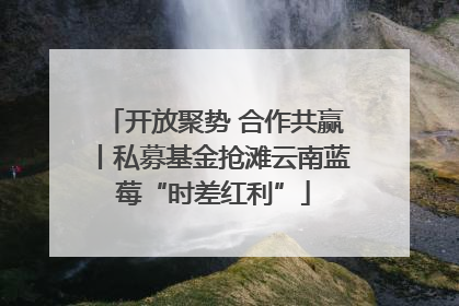 开放聚势 合作共赢丨私募基金抢滩云南蓝莓“时差红利”