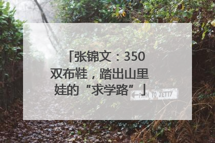 张锦文：350双布鞋，踏出山里娃的“求学路”