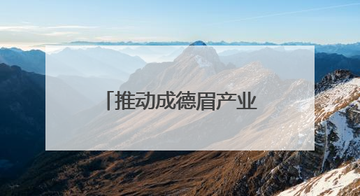 推动成德眉产业协同发展 成都高新区优质企业走进德阳和眉山