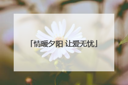 情暖夕阳 让爱无忧