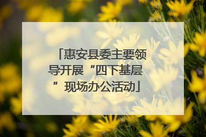 惠安县委主要领导开展“四下基层”现场办公活动
