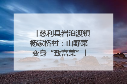 慈利县岩泊渡镇杨家桥村：山野菜变身“致富菜”