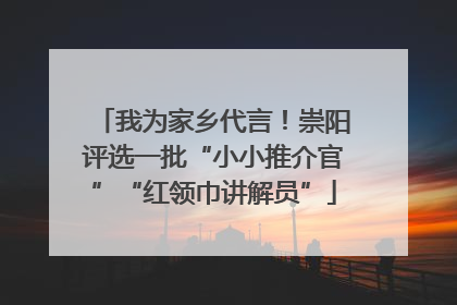 我为家乡代言！崇阳评选一批“小小推介官”“红领巾讲解员”
