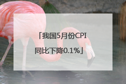 我国5月份CPI同比下降0.1%