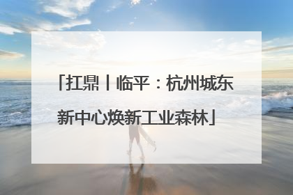 扛鼎丨临平：杭州城东新中心焕新工业森林
