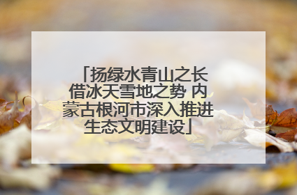 扬绿水青山之长 借冰天雪地之势 内蒙古根河市深入推进生态文明建设