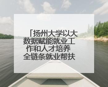 扬州大学以大数据赋能就业工作和人才培养 全链条就业帮扶畅通求职路