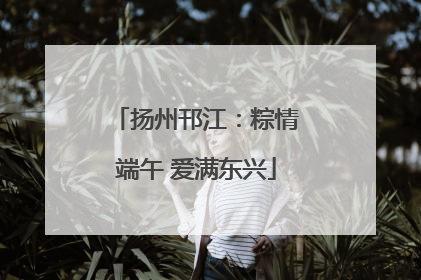 扬州邗江：粽情端午 爱满东兴
