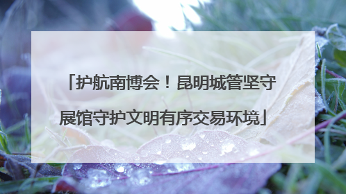 护航南博会！昆明城管坚守展馆守护文明有序交易环境