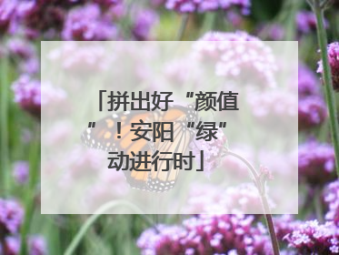 拼出好“颜值”！安阳“绿”动进行时