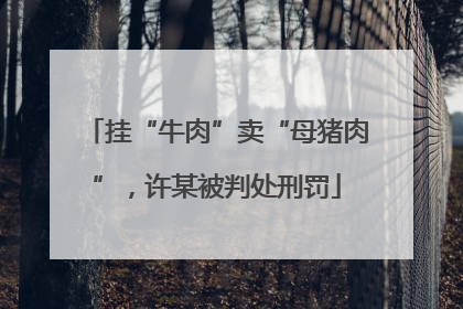 挂“牛肉”卖“母猪肉”，许某被判处刑罚