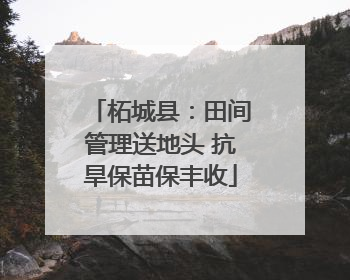 柘城县：田间管理送地头 抗旱保苗保丰收