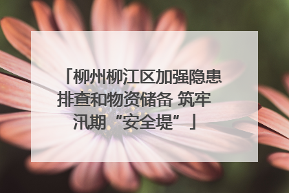 柳州柳江区加强隐患排查和物资储备 筑牢汛期“安全堤”