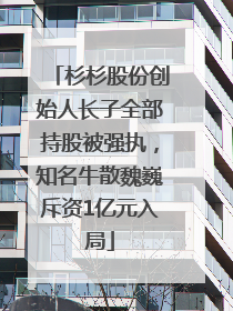 杉杉股份创始人长子全部持股被强执，知名牛散魏巍斥资1亿元入局